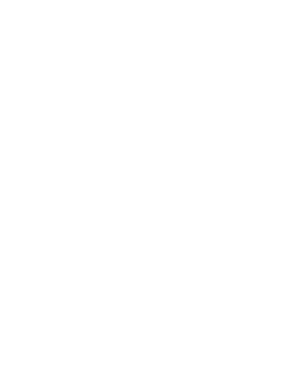 Replacement windows